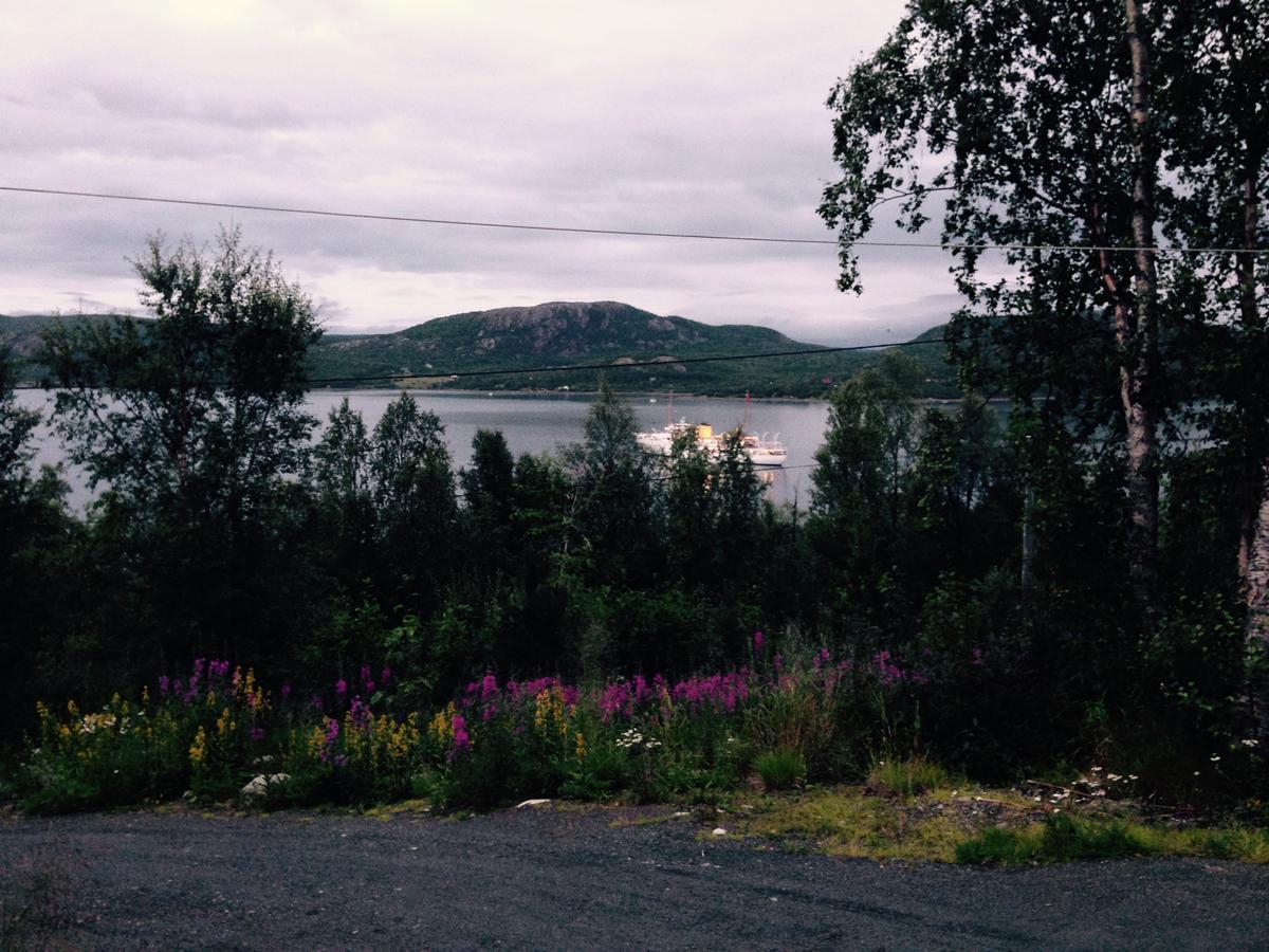 Karpbukt Jarfjord Arctic Aurora Lodge المظهر الخارجي الصورة